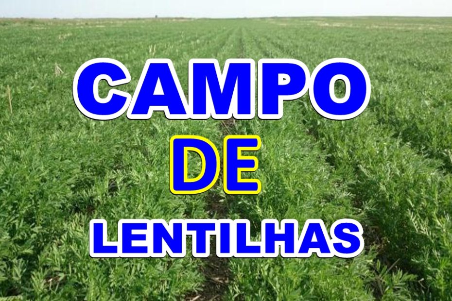 DEFENDA SEU CAMPO DE LENTILHAS