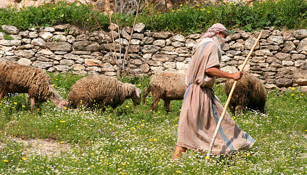 istockphoto 96004502 612x612 1 - A Parábola da Ovelha Perdida